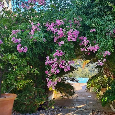 Bed and Breakfast Cortijo La Haza Iznájar Exteriér fotografie