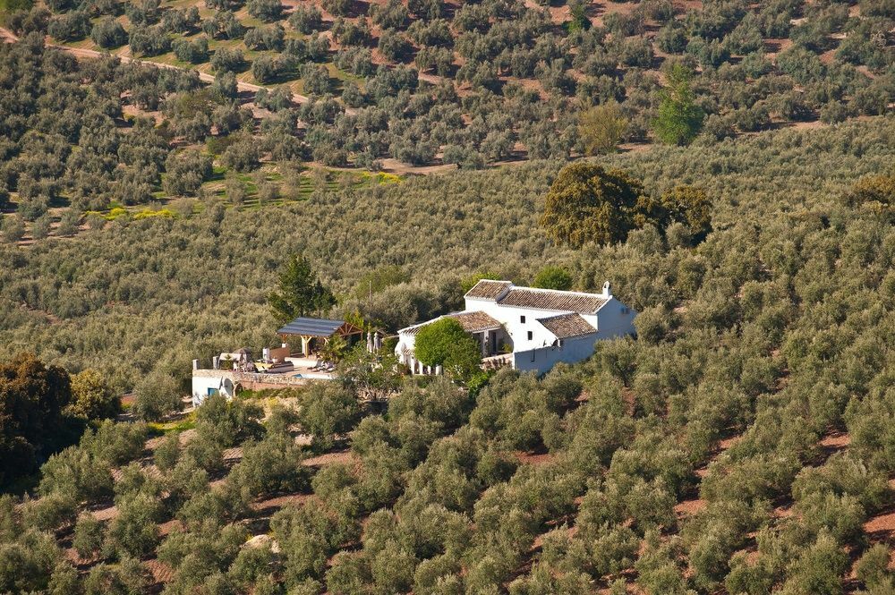 Bed and Breakfast Cortijo La Haza Iznájar Exteriér fotografie